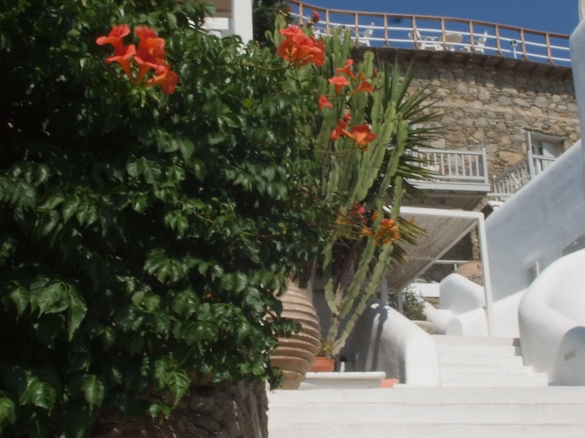 Mykonos View Hotel Mykonos Town Exterior foto